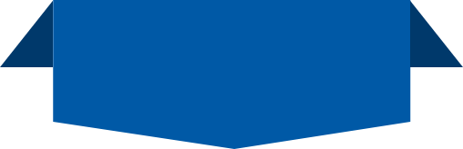 step-icon