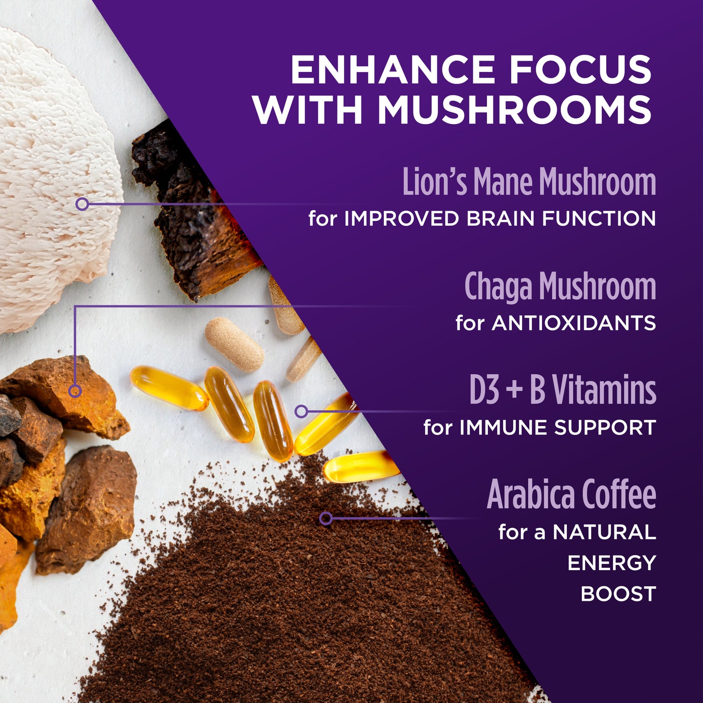 Mushroom Mix Pack