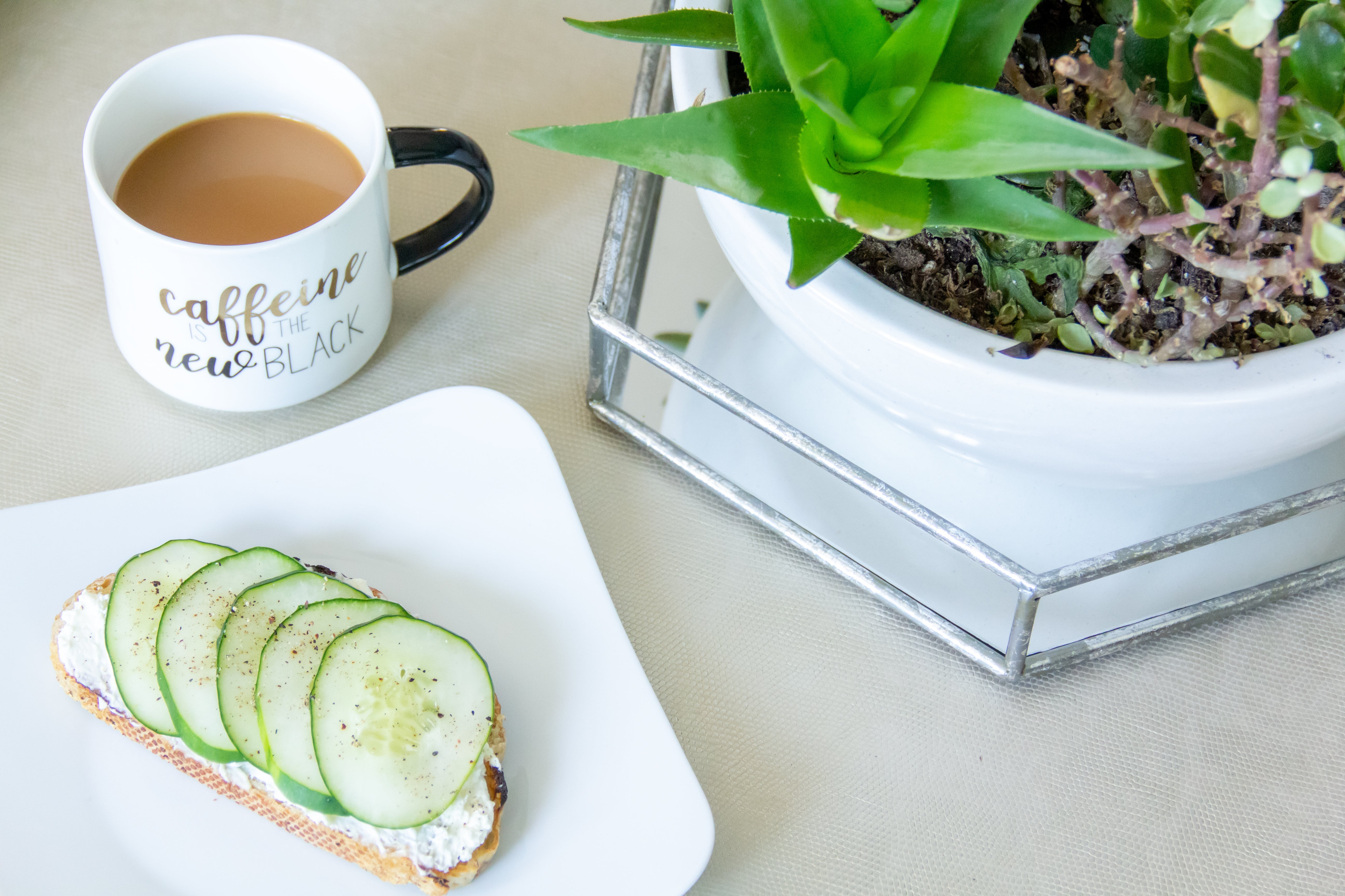 Healthy Breakfast Ideas! Great Morning Meals with Coffee! VitaCup