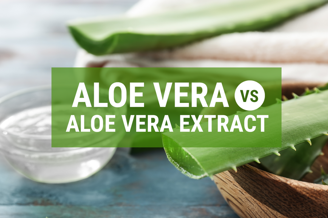 Inner Aloe Vera Leaf vs. Outer Aloe Vera Leaf