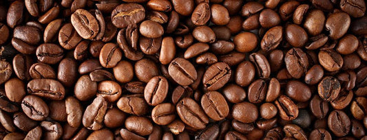 From Bean to Cup