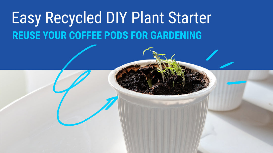 Easy DIY plant starters with recycled coffee pods.