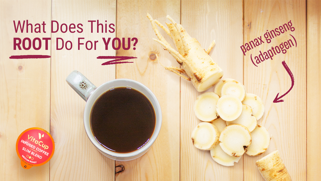 Panax Ginseng, the Amazing Adaptogen