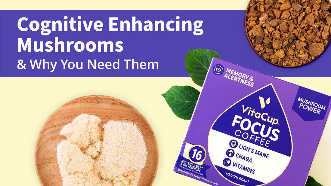 Cognitive Enhancing Mushrooms + Why You Need Them