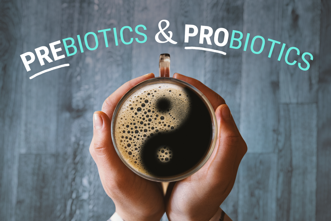 The Yin and Yang of Prebiotics & Probiotics