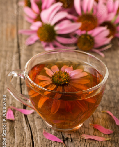 Echinacea