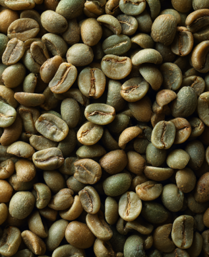 Close-up of green coffee beans