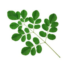 Moringa
