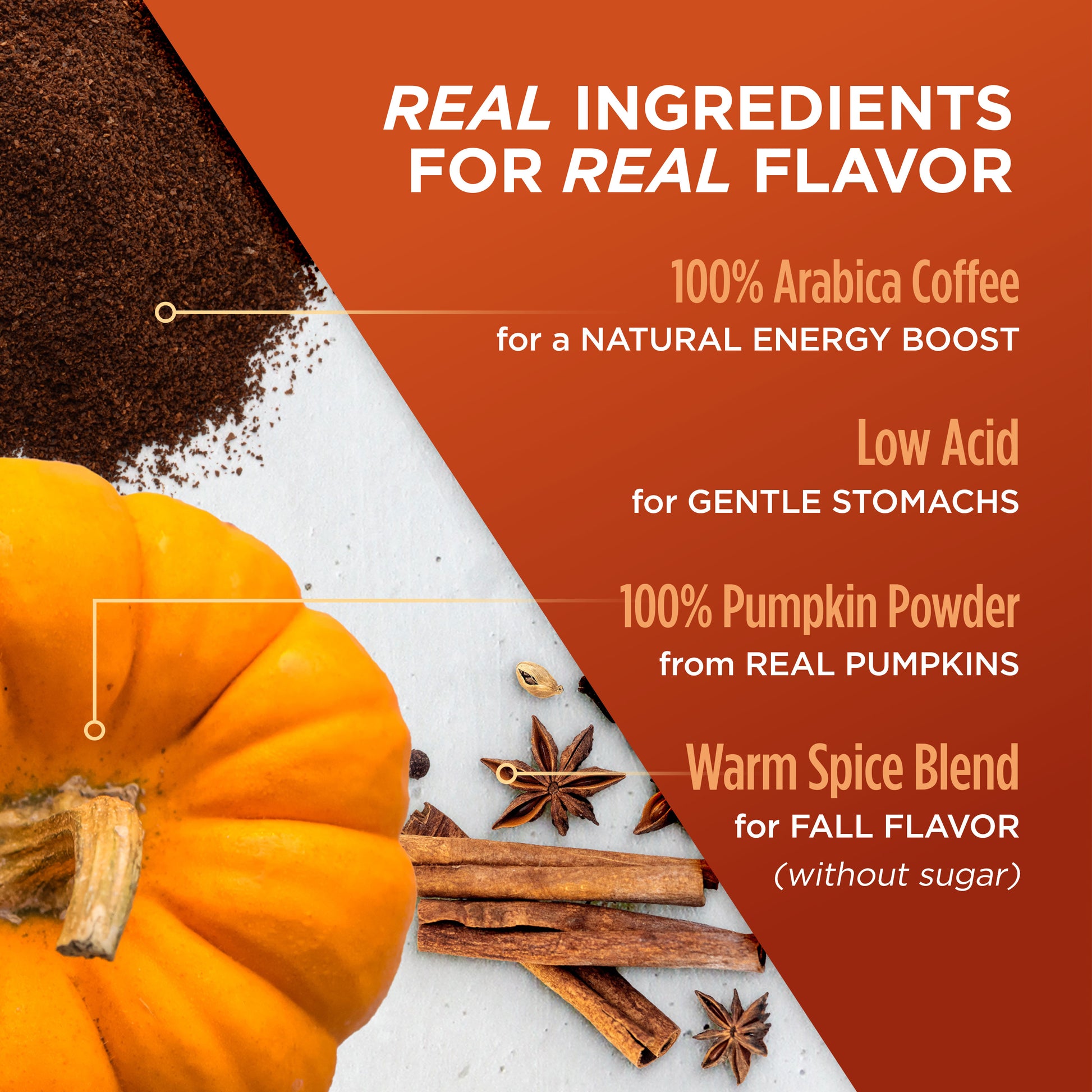 Organic Perfect Pumpkin Spice Coffee Pods (Low Acid, Lab Tested