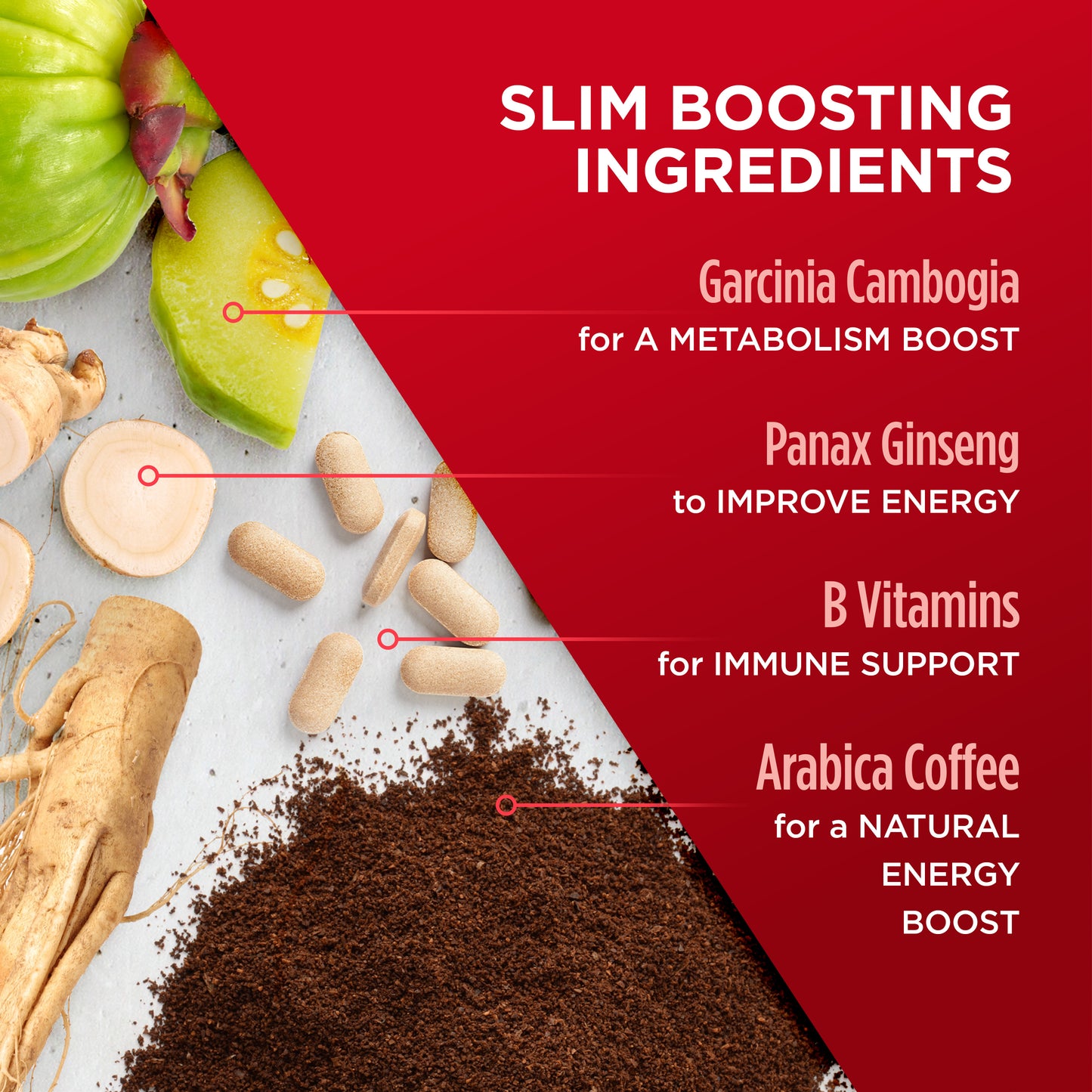 Metabolism Boosting Bundle